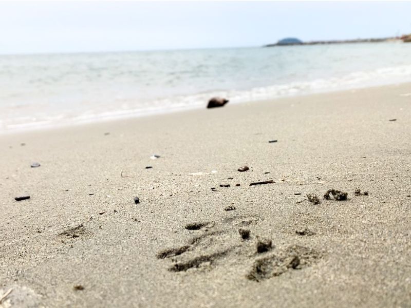 La Spiaggia di Pippo - Ceriale (SV)